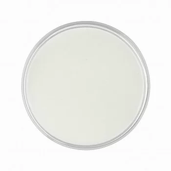 MOLLYLAC POLVO ACRILICO CLEAR 120GR